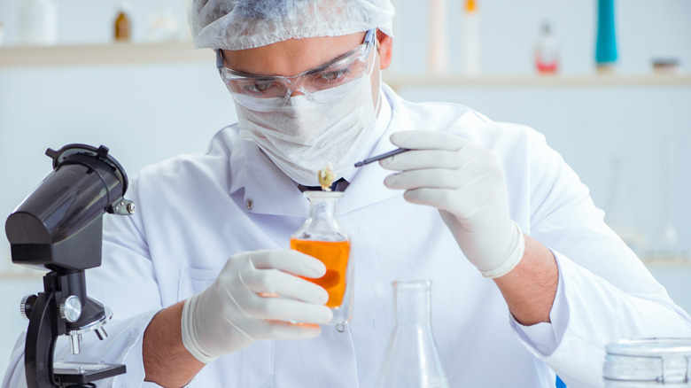 onderzoeker in het laboratorium dat kamille bestudeert