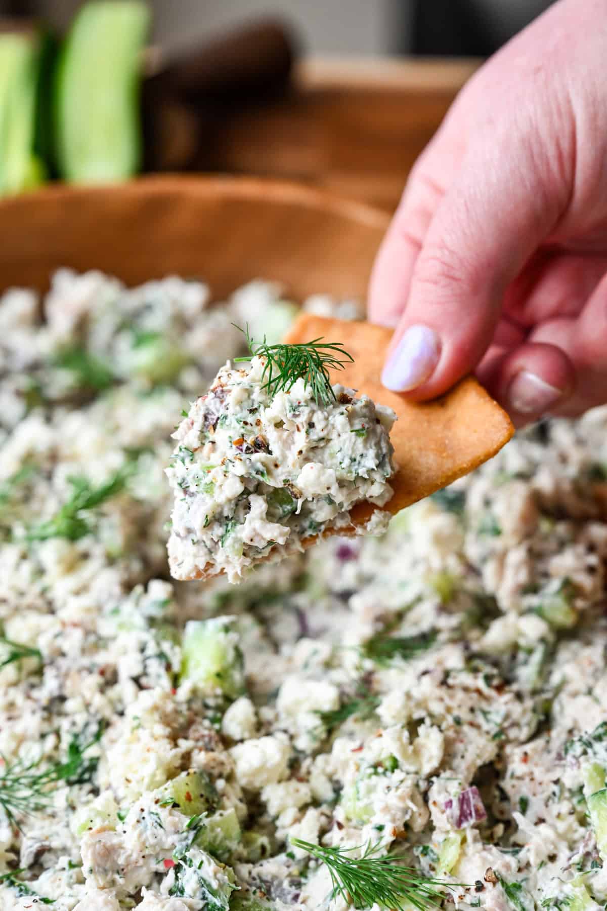 Een pitabroodje met een bolletje tzatziki kipsalade erop.