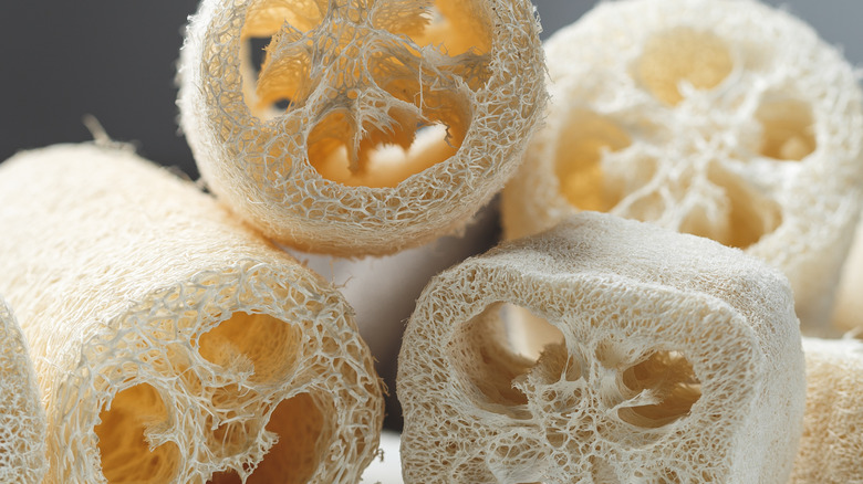 Een stapel luffa's.