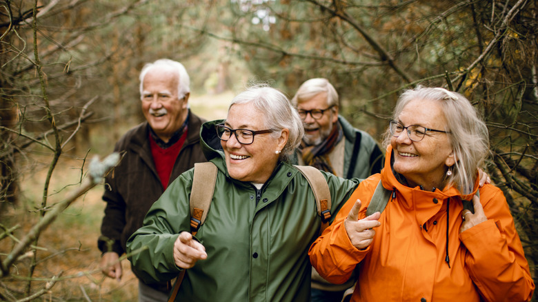oudere wandelaars in het bos in de koudere maanden