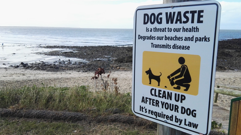 Een herinneringsbord voor hondenuitwerpselen op het strand