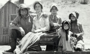 Roodvonk of iets anders? Het medische geval van Mary Ingalls opnieuw onderzoeken