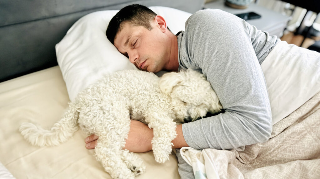 Uit onderzoek blijkt dat honden de slaap niet verstoren. Eigenaren willen graag een woord.